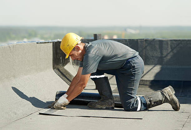 Best Fiberglass Insulation in Pelican Rapids, MN